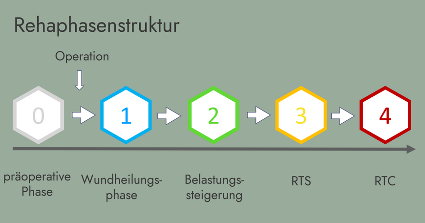 Grafik über die Rehaphasenstruktur